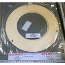 LAM XYS-586417-01-10187120 CERAMIC RING