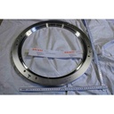 Assembly Dome Mnt. Ring w/GVDE, 200mm, Rev.002