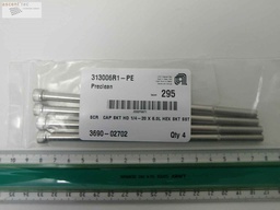 [3690-02702/507196] Scr Cap Skt Hd 1/4-20 x 6.0L Hex Skt SST, Lot of 4