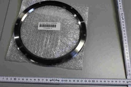 [17124250-A/507558] CLAMP RING DISK GRIPPER