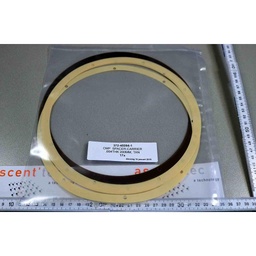 [372-45094-1/100057] CMP SPACER, CARRIER .004THK 200mm, TAN, LOT OF 17